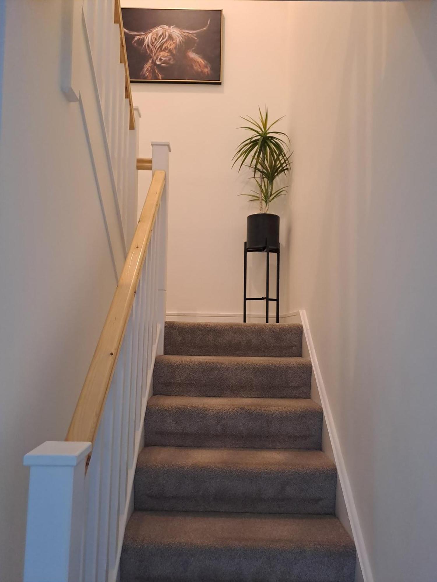 Cozy Bedroom In Lucan, Dublin Ngoại thất bức ảnh
